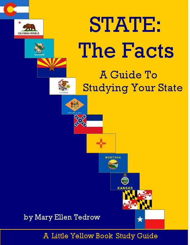 State The Facts, A Guide to Studying Your State